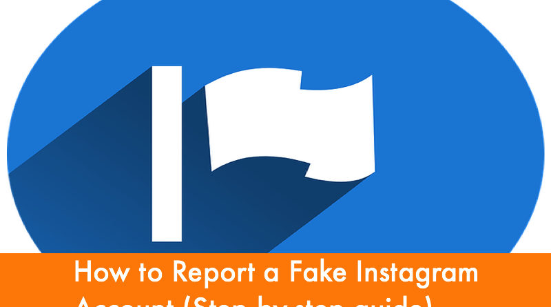 How to Report a Fake Instagram Account (Step by-step guide ... - 800 x 445 jpeg 36kB