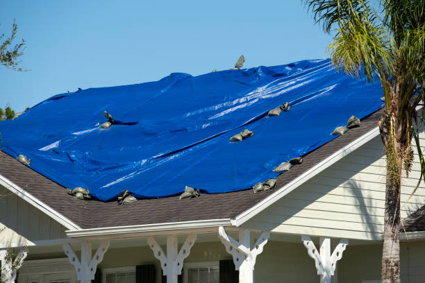 The Role of Insurance in Covering Roof Wind Damage