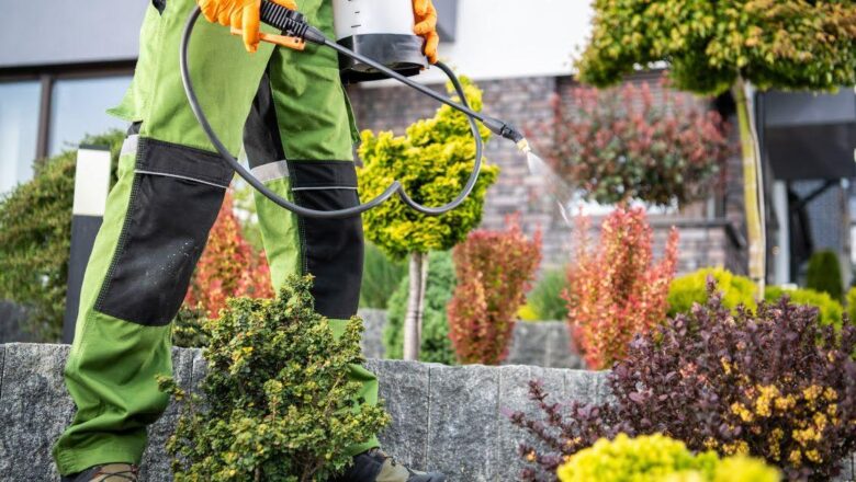 Advanced Pest Control Techniques for Gardens: Effective Solutions for Healthy Plants