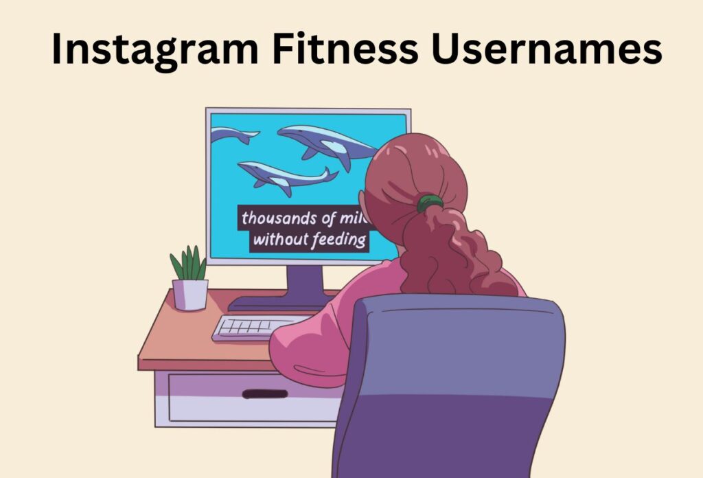 Usernames For Fitness Instagram