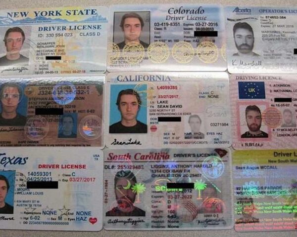 Top 10 Best Fake ID Websites for Scannable Cards in 2025