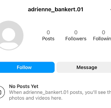 Fake Instagram Account